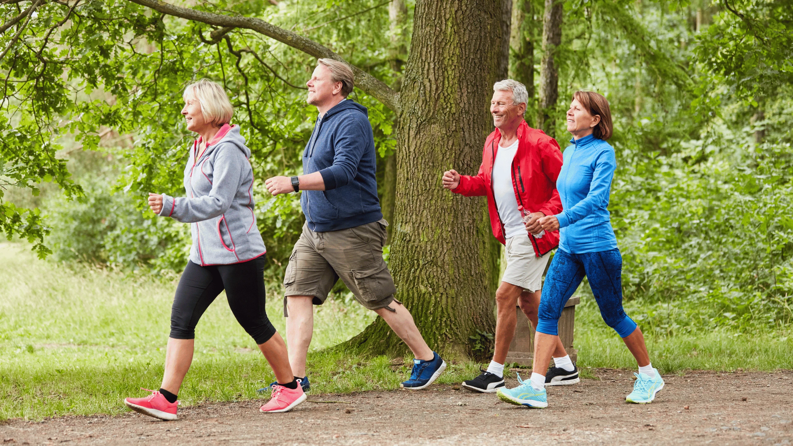 Four older adults in activewear walking briskly along a tree-lined trail