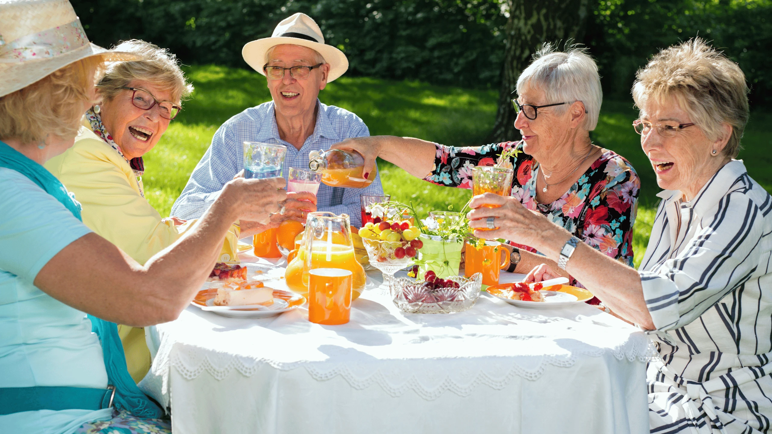 Group of older adults raising glasses in a toast around an outdoor table set with food