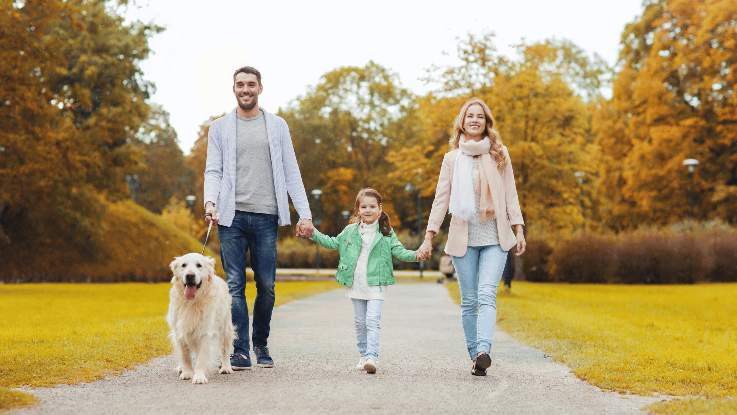 Two adults and a child walking a golden retriever along an autumn path lined with yellow trees