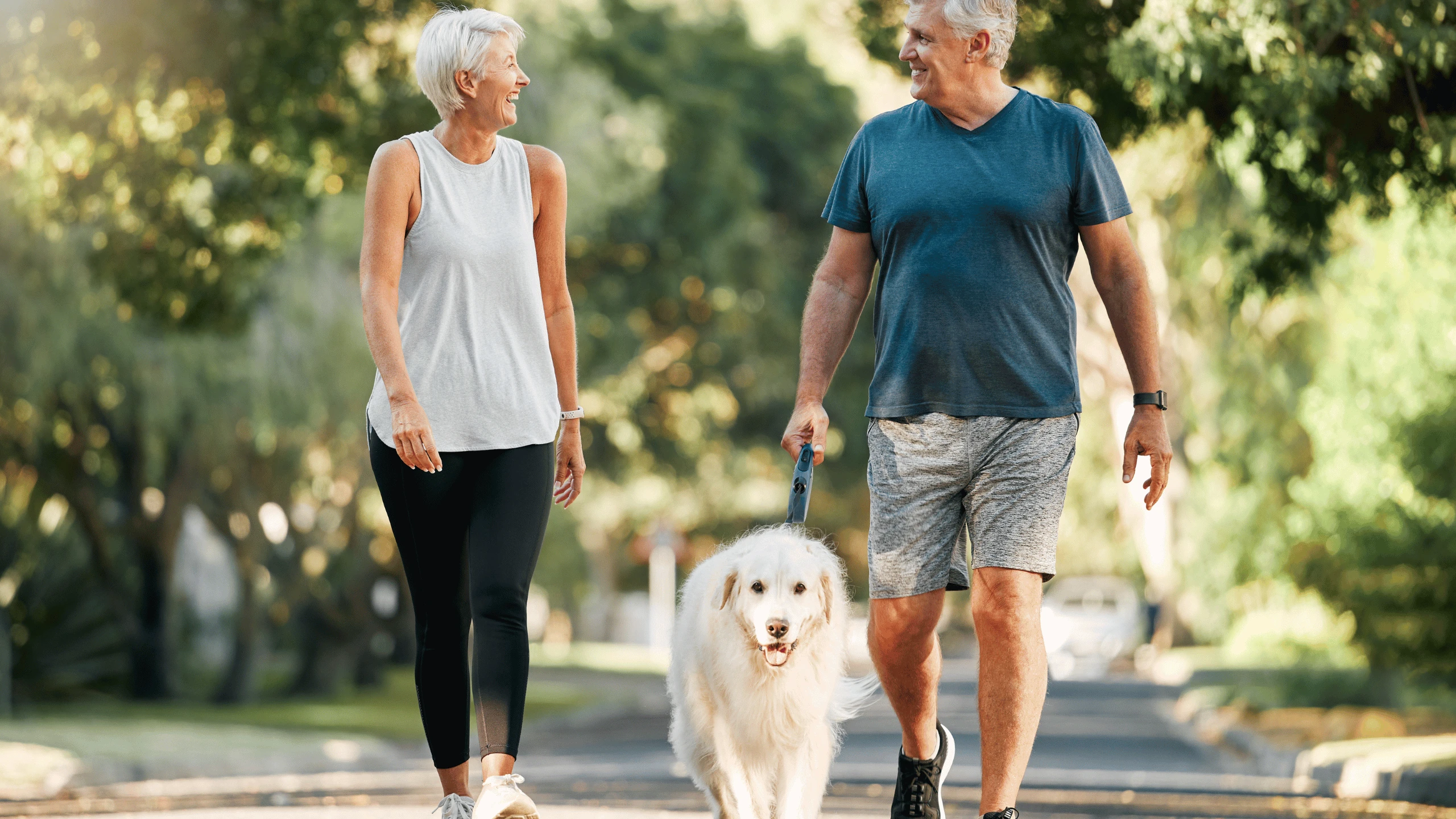 Older man and woman walking a golden retriever along a paved path